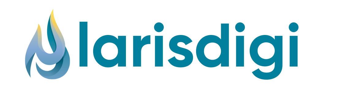 Larisdigi Agency